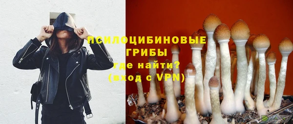 герыч Горняк