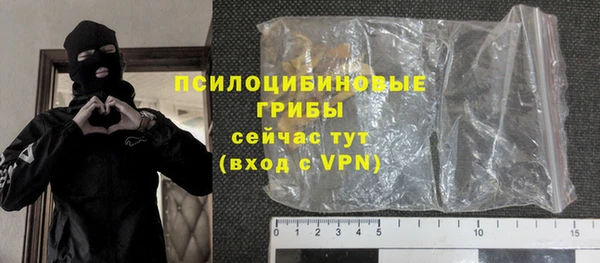 мдпв Горнозаводск
