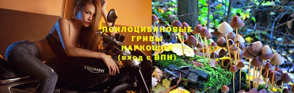 герыч Горняк