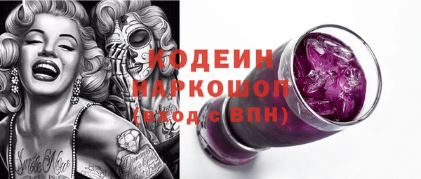 мдпв Горнозаводск