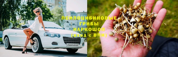 мдпв Горнозаводск