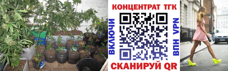Дистиллят ТГК жижа Купить Белогорск