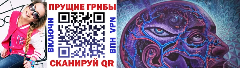Купить где  Белогорск  Галлюциногенные грибы прущие грибы 